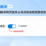 有道翻译翻译历史怎么删除？