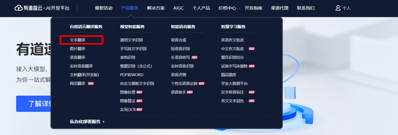 有道翻译应用设置排查
